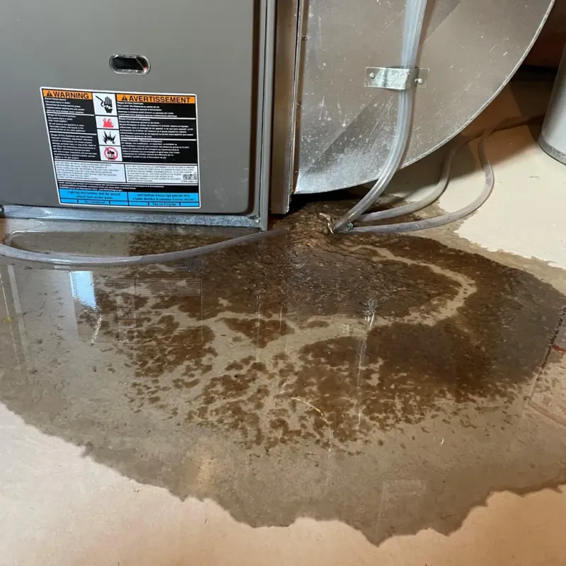 Appliance Leak Cleanup in Brevard, NC